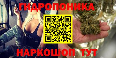 гашик Уссурийск