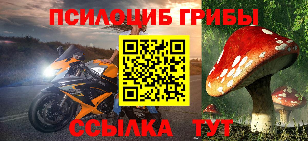 Галлюциногенные грибы мицелий Владивосток