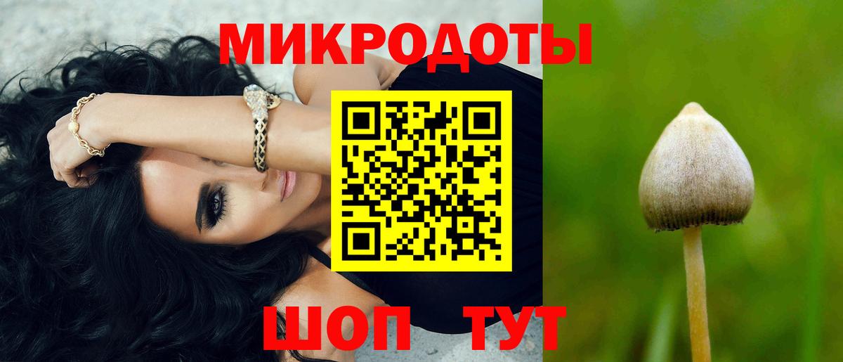 где купить наркотик  Галлюциногенные грибы Psilocybe  Вход с VPN  Галлюциногенные грибы Magic Shrooms  Владивосток 