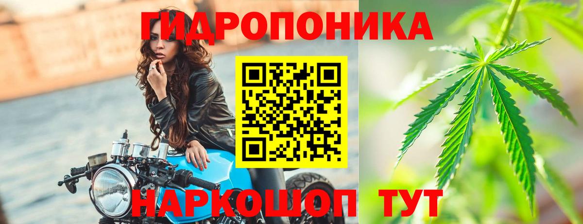 Каннабис MAZAR Владивосток